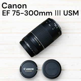Canon 望遠レンズ EF 75-300mm F4-5.6 Ⅲ USM #92