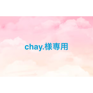 chay.様専用(カットソー(半袖/袖なし))