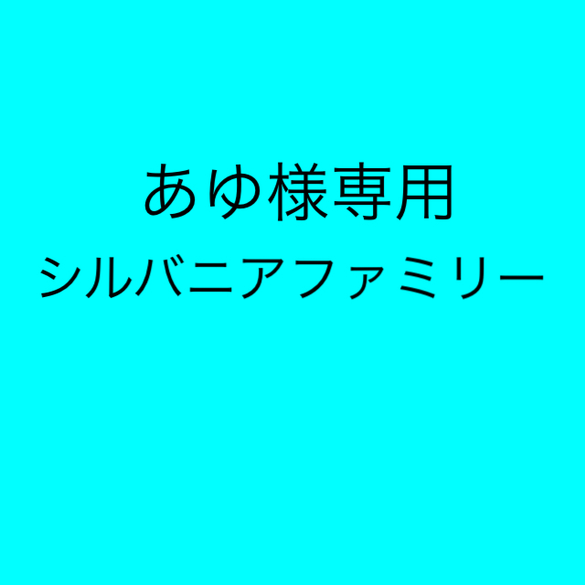 あゆ様専用  5/2までお取置き キッズ/ベビー/マタニティのおもちゃ(知育玩具)の商品写真