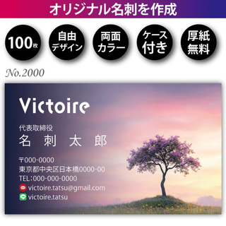 名刺作成 名刺印刷 100枚 両面 フルカラー 紙ケース付 No.2000