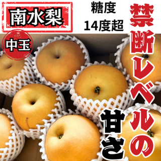 熊本県産 南水 梨 M玉８玉 約３Kg 高級梨 糖度14度以上 甘い ジューシー(フルーツ)