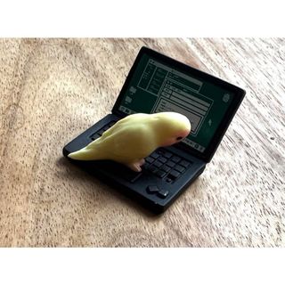 【新品】PCで遊ぶコザクラインコ