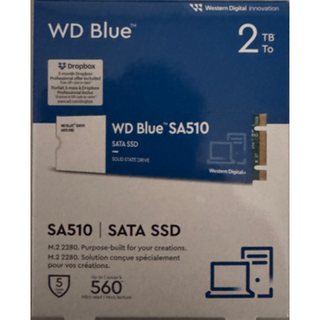 新品 未使用 Western DigitalBlue WDS200T3B0B