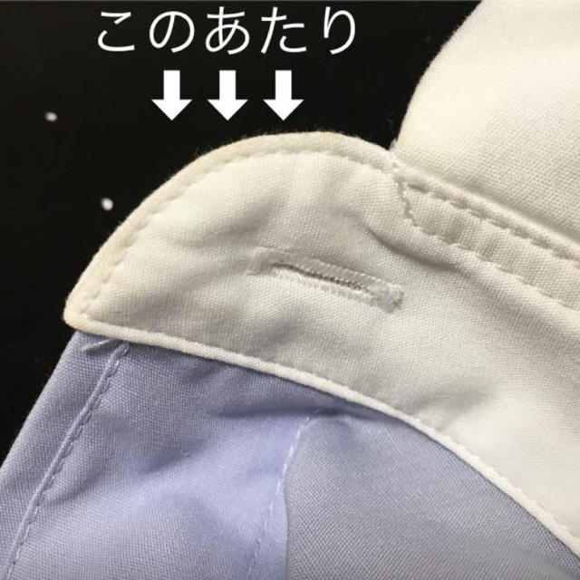 sacai luck(サカイラック)のsacai luck バックシフォンシャツ レディースのトップス(シャツ/ブラウス(長袖/七分))の商品写真