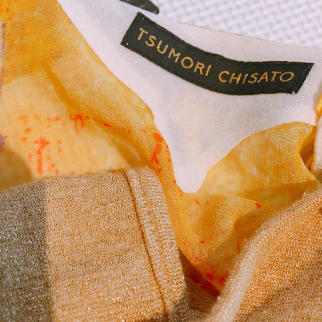 TSUMORI CHISATO(ツモリチサト)の TSUMORI CHISATO❤️シースルーノースリーブカットソー レディースのトップス(カットソー(半袖/袖なし))の商品写真