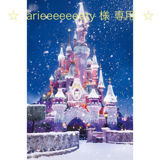 ☆  arieeeeeeety 様 専用  ☆(その他)