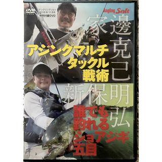 【D-304】Angling Salt 2018年11月号特別付録【DVD】(趣味/実用)