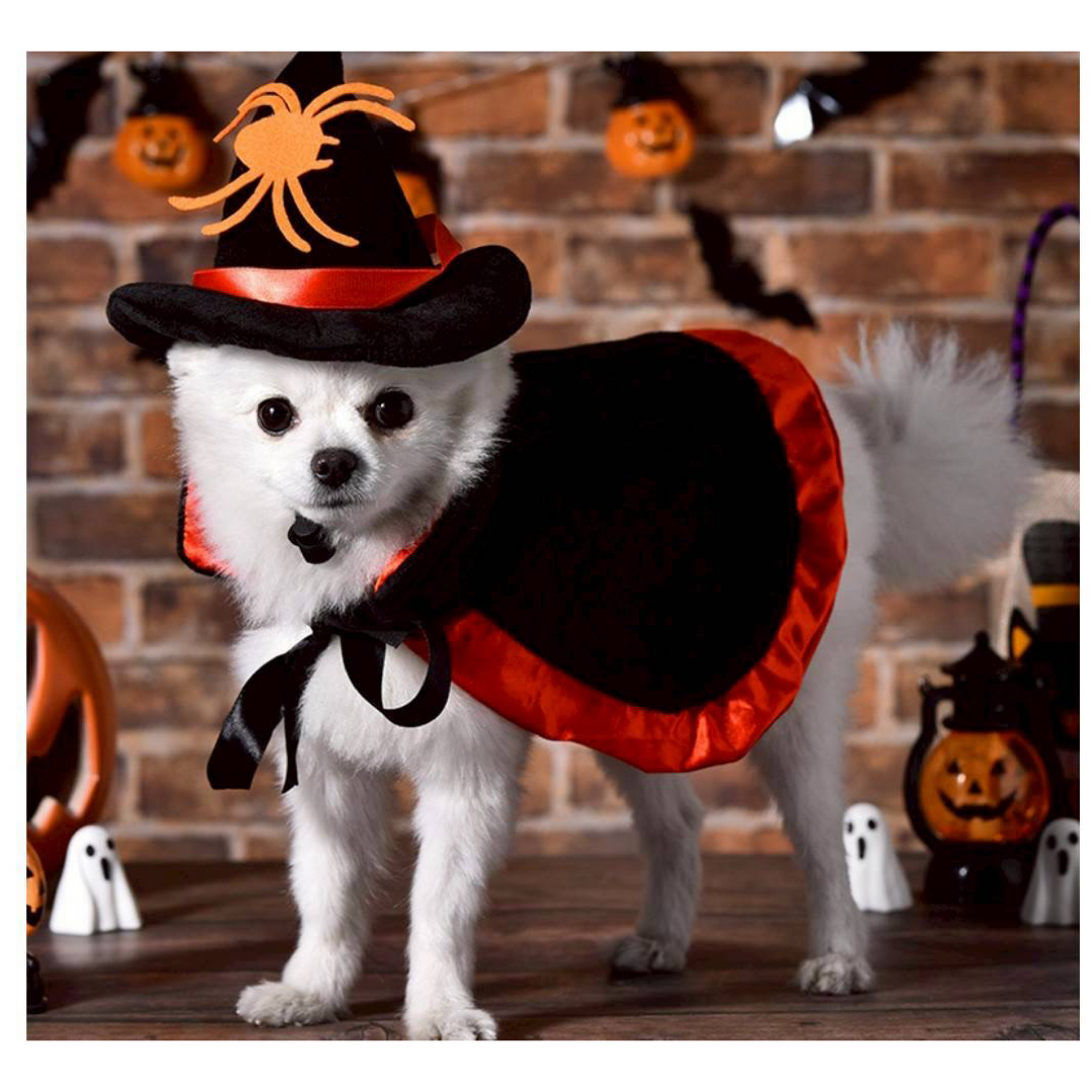 ハロウィンコスチューム マントと帽子 ペット用 コスプレ 犬 猫 仮装 衣装 その他のペット用品(犬)の商品写真