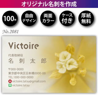 名刺作成 名刺印刷 100枚 両面 フルカラー 紙ケース付 No.2081