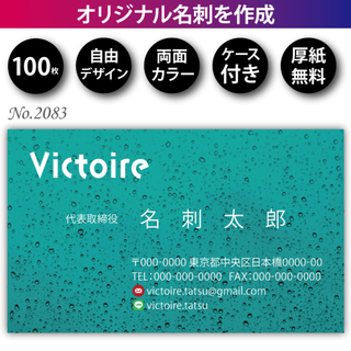 名刺作成 名刺印刷 100枚 両面 フルカラー 紙ケース付 No.2083