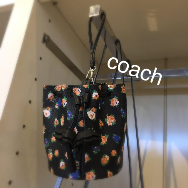 COACH(コーチ)の【美品】coach  バック レディースのバッグ(ボディバッグ/ウエストポーチ)の商品写真