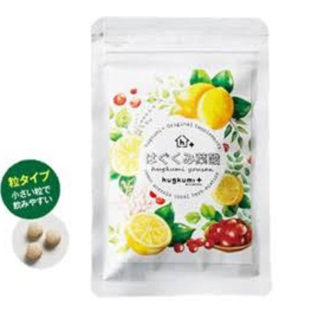 ずーみんさま専用 はぐくみ葉酸 4袋 www.fruut.pt