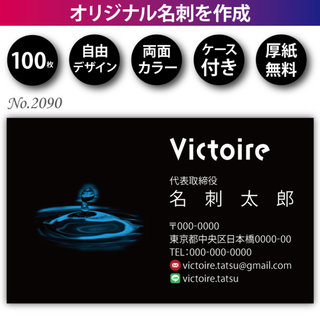 名刺作成 名刺印刷 100枚 両面 フルカラー 紙ケース付 No.2090