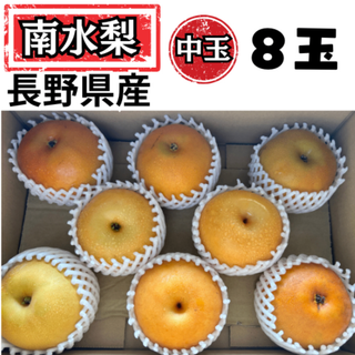 長野県産 南水 梨 M玉８玉 約３Kg 梨 糖度 ジューシー 果物 フルーツ (フルーツ)
