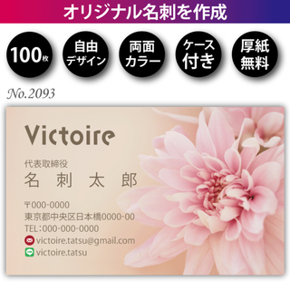 名刺作成 名刺印刷 100枚 両面 フルカラー 紙ケース付 No.2093