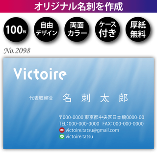 名刺作成 名刺印刷 100枚 両面 フルカラー 紙ケース付 No.2098