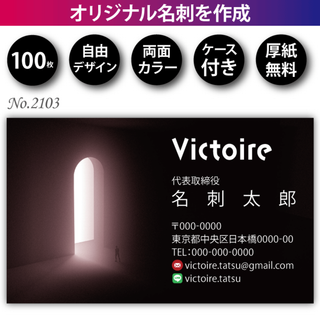 名刺作成 名刺印刷 100枚 両面 フルカラー 紙ケース付 No.2103