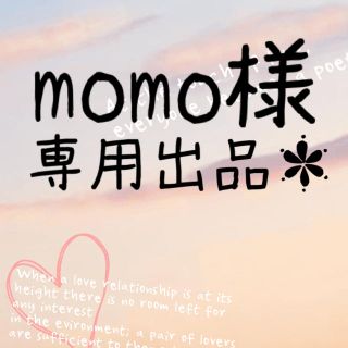 momo様専用出品＊(その他)