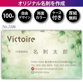 名刺作成 名刺印刷 100枚 両面 フルカラー 紙ケース付 No.2106