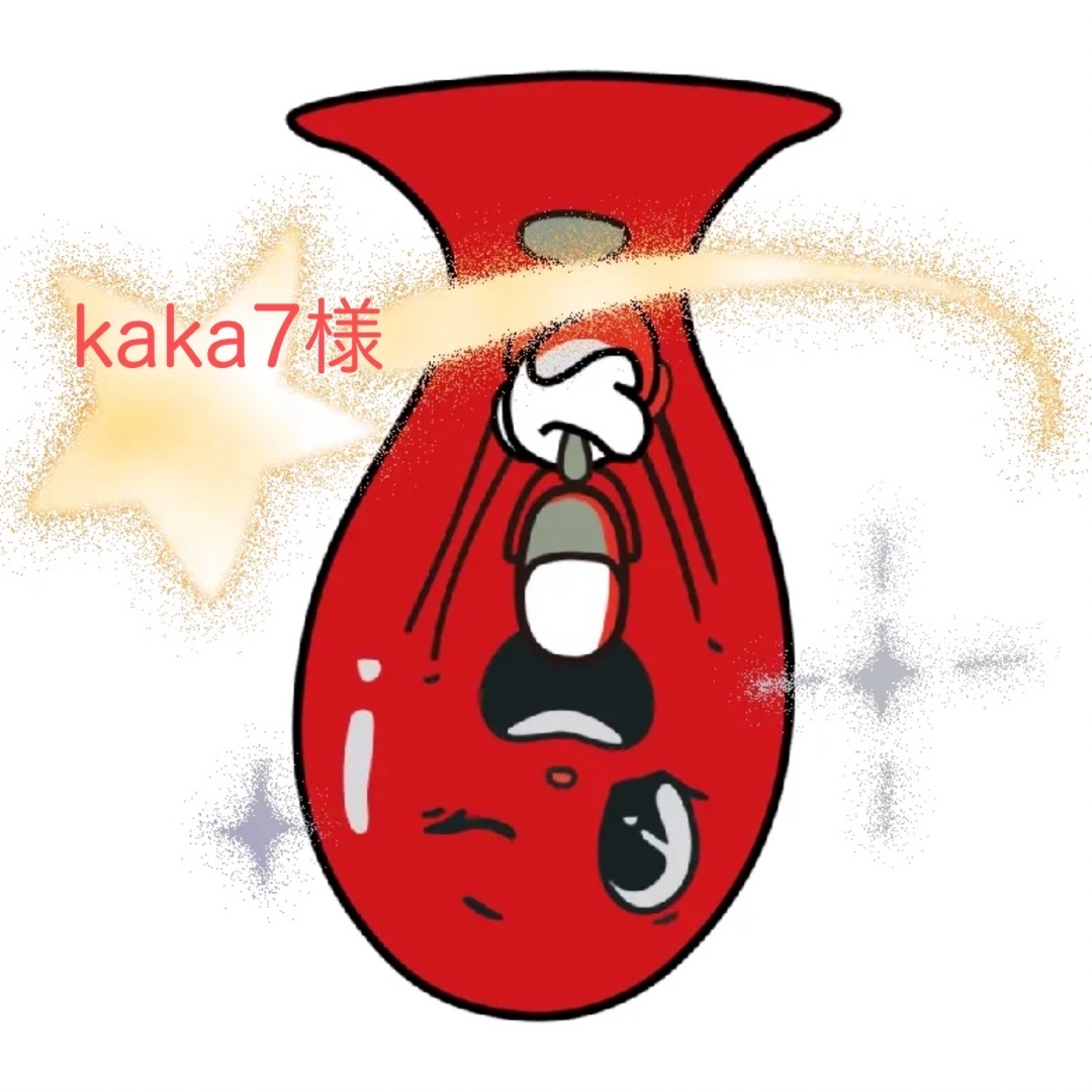 kaka7様☆専用ページ エンタメ/ホビーのエンタメ その他(その他)の商品写真