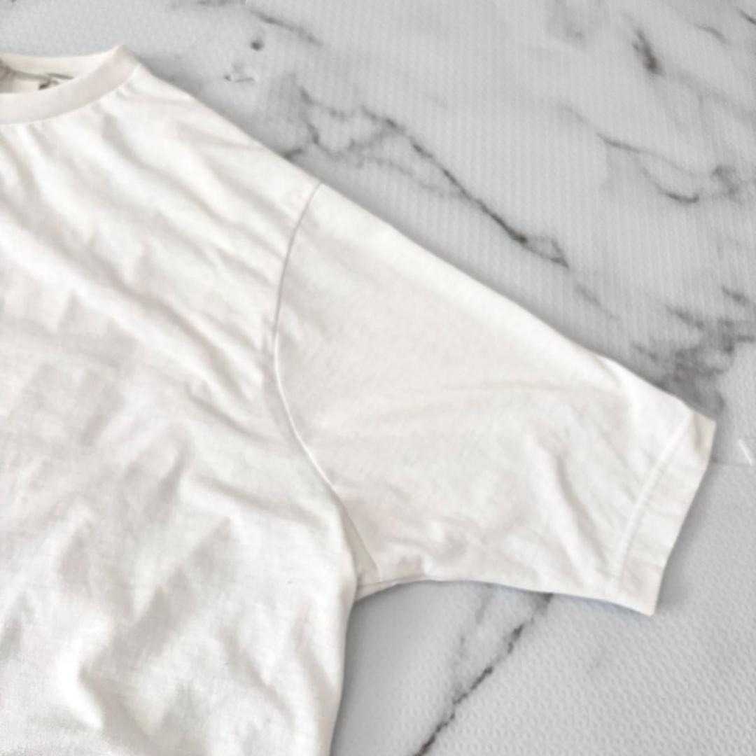 BEARDSLEY(ビアズリー)のBEARDSLEY 後ろプリーツユルTシャツ ホワイト ビアズリー 洗える レディースのトップス(カットソー(長袖/七分))の商品写真