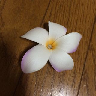プルメリア ヘアピン(ヘアピン)