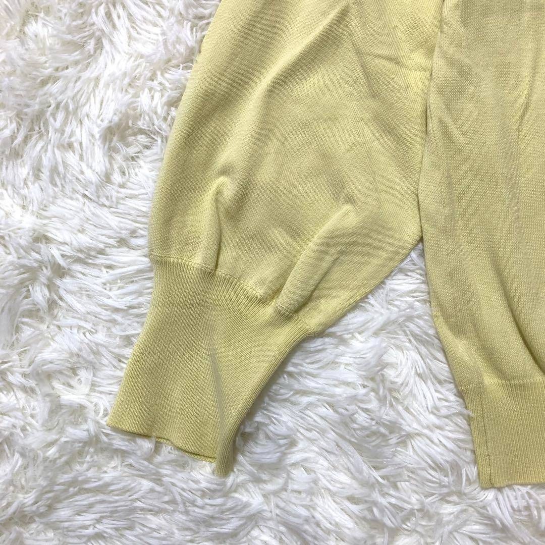grove(グローブ)の grove ラグラン袖 長袖ニット L ライトイエロー系クリーム レディースのトップス(ニット/セーター)の商品写真