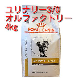 ロイヤルカナン(ROYAL CANIN)のロイヤルカナン 療法食 猫用 ユリナリーS/O オルファクトリー ドライ 4kg(猫)
