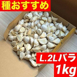 【大特価】新物 青森県産 にんにく L.2Lバラ 1kg 福地ホワイト 種 加工(野菜)