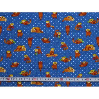 g640★レッサーパンダ　コットン生地★(生地/糸)