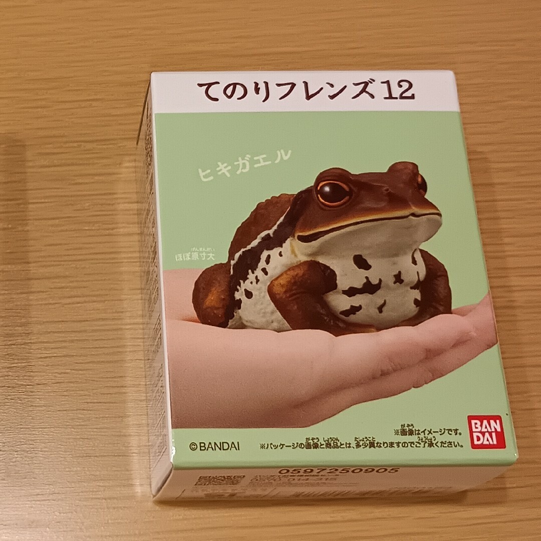 てのりフレンズ12 ヒキガエル 爬虫類・両生類 エンタメ/ホビーのおもちゃ/ぬいぐるみ(キャラクターグッズ)の商品写真