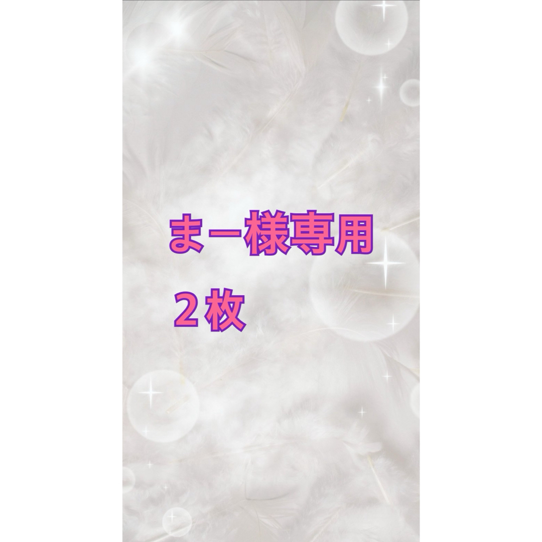 まー様専用ページ 2枚 チケットの施設利用券(美術館/博物館)の商品写真