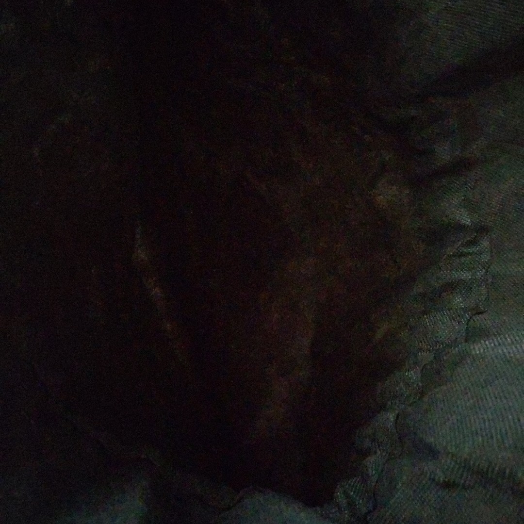 北海道日本ハムファイターズ(ホッカイドウニホンハムファイターズ)のファイターズ ギフトバッグ スポーツ/アウトドアの野球(記念品/関連グッズ)の商品写真