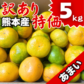 ５日以内発送／熊本県産 訳あり みかん 5kg B級品 M Lサイズ 傷 家庭用(フルーツ)