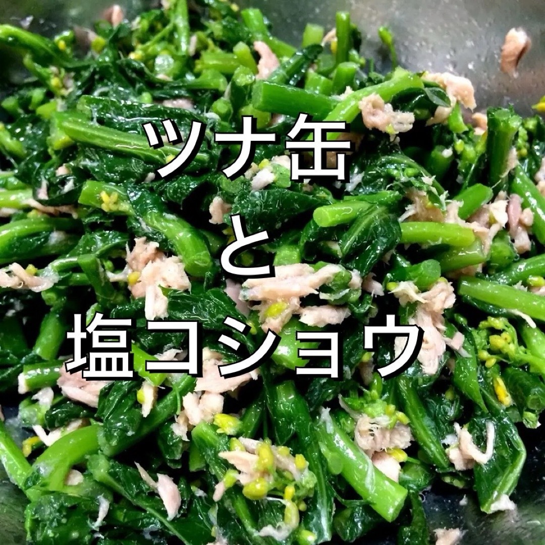 骨を強くする野菜苗 ・芯摘菜・ のらぼう菜・種【家庭菜園】 ハンドメイドのフラワー/ガーデン(プランター)の商品写真