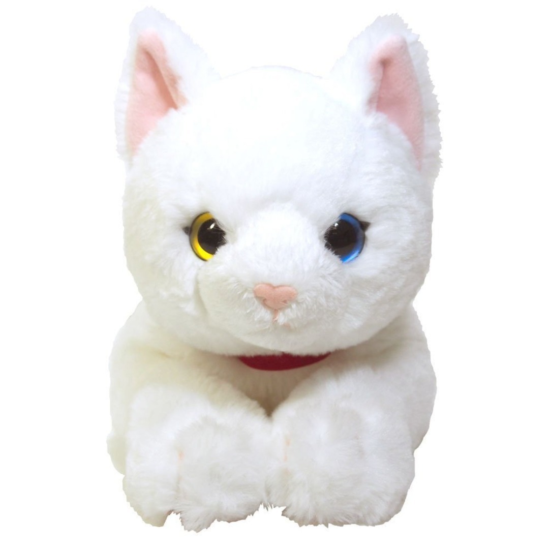 【在庫セール】ひざねこ ぬいぐるみ ホワイト オッドアイ Mサイズ P-1832 キッズ/ベビー/マタニティのおもちゃ(ぬいぐるみ/人形)の商品写真