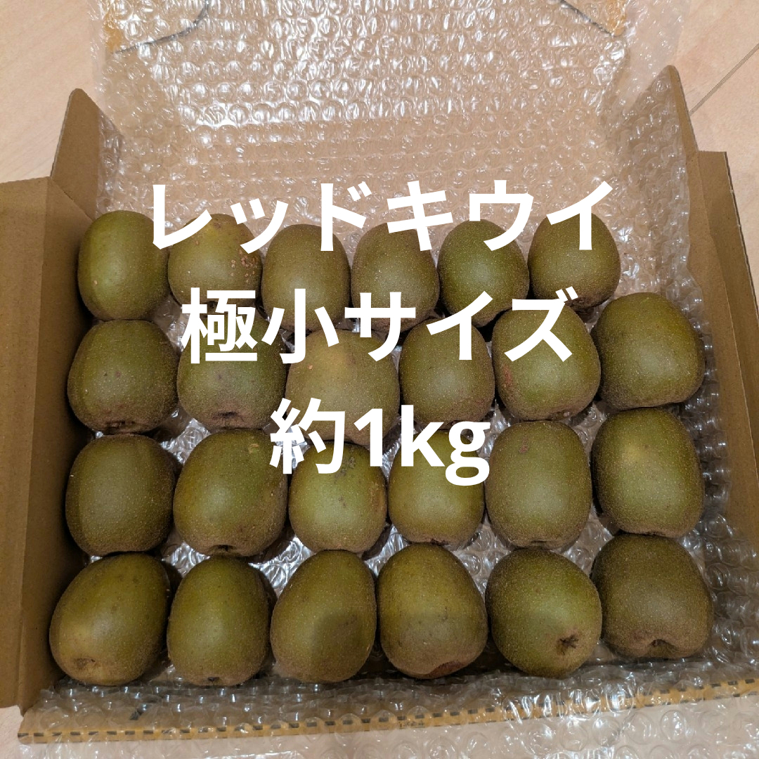 レッドキウイ 極小サイズ 約1kg 食品/飲料/酒の食品(フルーツ)の商品写真