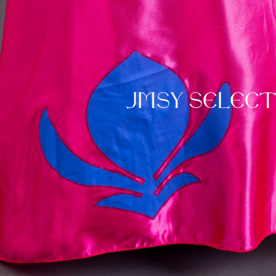 Disney(ディズニー)の120cm▶︎エルサドレス 戴冠式ドレス 長袖 マント ハロウィン ディズニー キッズ/ベビー/マタニティのキッズ服女の子用(90cm~)(ワンピース)の商品写真