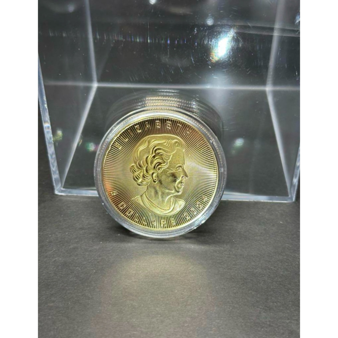 【新着✨】記念コイン記念硬貨(早い者勝ち❗️】カナダ特製コイン 2024年  エンタメ/ホビーの美術品/アンティーク(貨幣)の商品写真