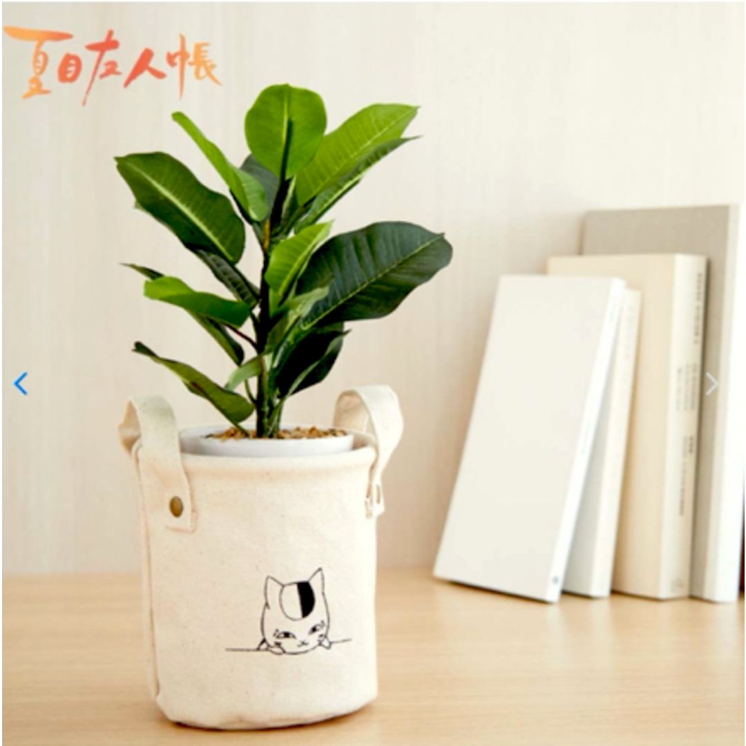 白泉社(ハクセンシャ)の☆新品未使用☆ 夏目友人帳 卓上バスケット エンタメ/ホビーのおもちゃ/ぬいぐるみ(キャラクターグッズ)の商品写真