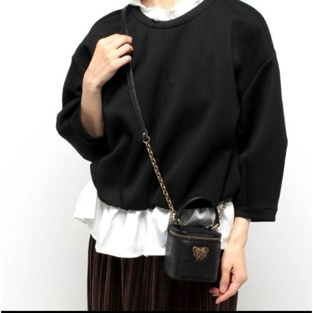 ANNA SUI(アナスイ)の【新品】アナスイ ANNASUI ショルダーバック チェイス バニティ 黒 レディースのバッグ(ショルダーバッグ)の商品写真