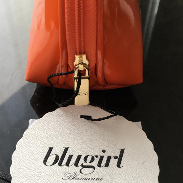Blugirl(ブルーガール)の専用！新品未使用！ブルーガール 化粧ポーチ 小物入れ レディースのファッション小物(ポーチ)の商品写真