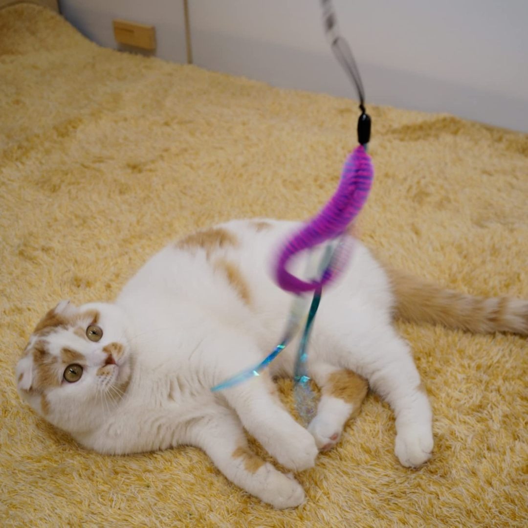 キャティーマン (CattyMan) じゃれ猫 猫のお好みじゃらし交換用 ぶらぶ その他のペット用品(猫)の商品写真