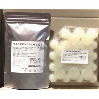 フクロモモンガ 基本フード&ゼリー30日分セット即購入可能