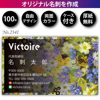 名刺作成 名刺印刷 100枚 両面 フルカラー 紙ケース付 No.2341