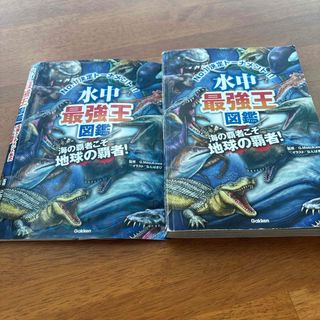 水中最強王図鑑