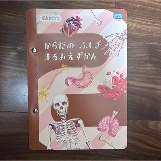 からだのふしぎ まるみえずかん こどもちゃれんじ じゃんぷ ベネッセ しまじろう