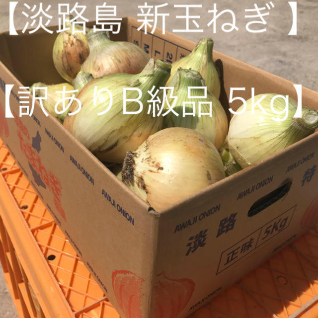 【淡路島】農家の新玉ねぎ七宝5kg(訳ありB級品) 淡路島産 玉葱 たまねぎ 食品/飲料/酒の食品(野菜)の商品写真