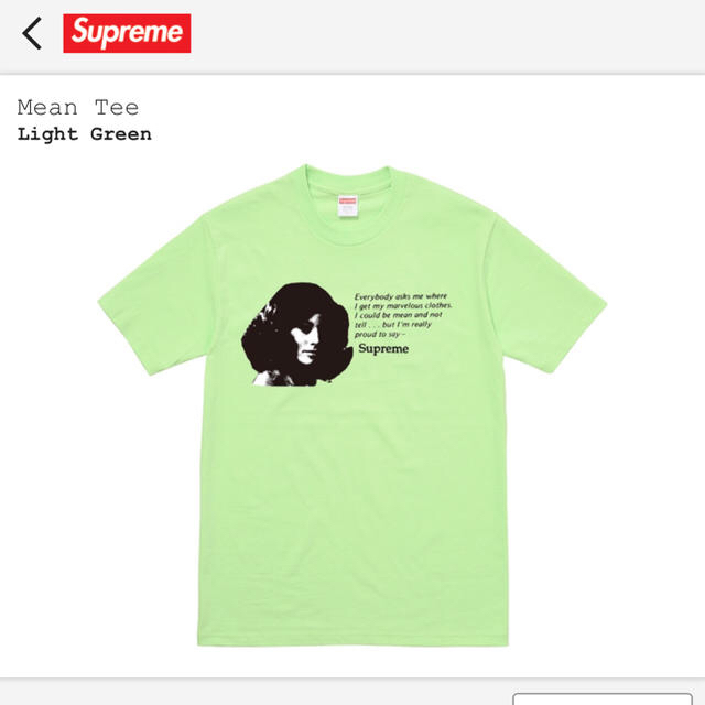 Supreme(シュプリーム)の専用 新品 supreme mean Tシャツ ➕smallboxlogo メンズのトップス(Tシャツ/カットソー(半袖/袖なし))の商品写真