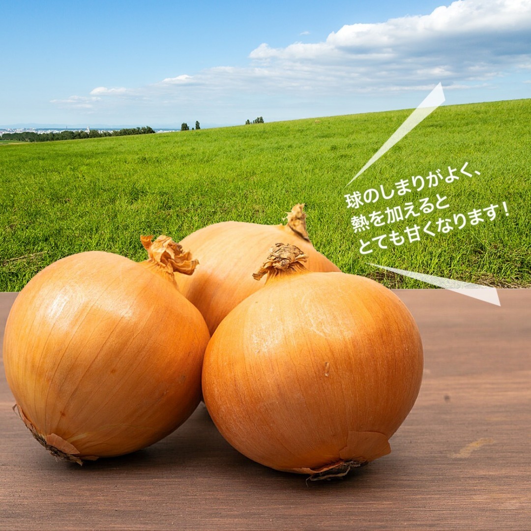 野菜セットB（キャベツ2玉・たまねぎ・じゃがいも・にんじん約2kg）4種セット 食品/飲料/酒の食品(野菜)の商品写真